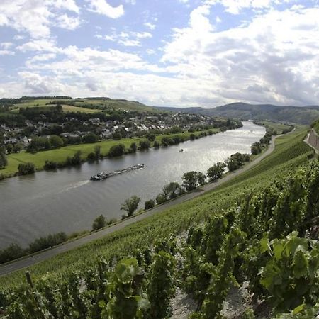 Weingut Fehres Apartment Brauneberg Luaran gambar